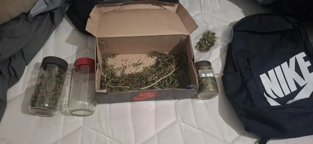Allanamientos por causa de abuso de armas en Viedma terminaron con droga secuestrada