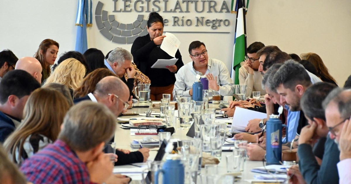 Impulsan un régimen de tasas propias para las Comisiones de Fomento de Río Negro