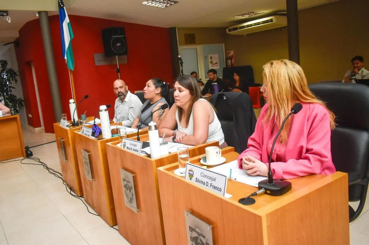 Sigue sin definición la investigación por el faltante de fojas en el Concejo de Viedma