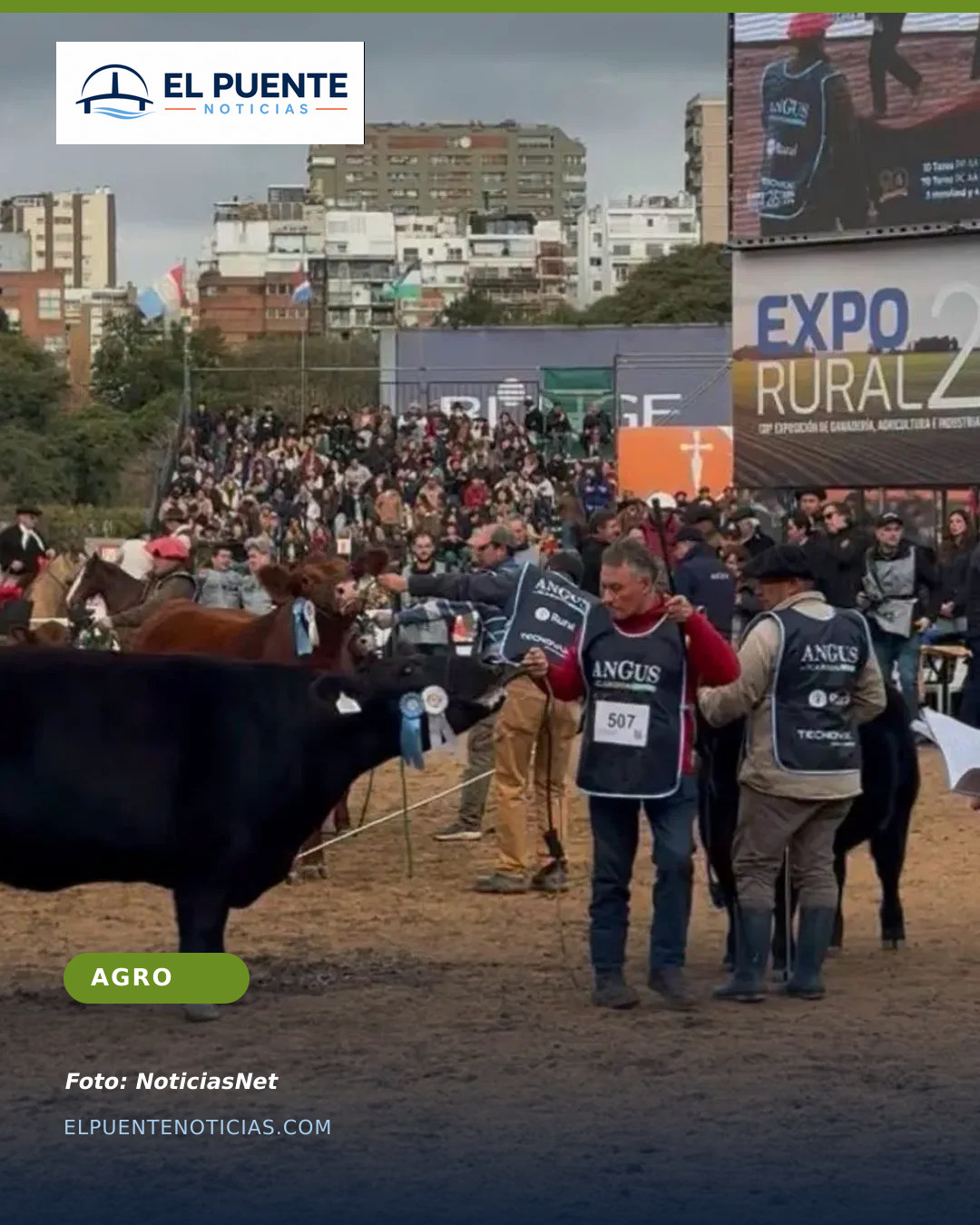 Bassi: la genética ganadera rionegrina ya llega a la pampa húmeda