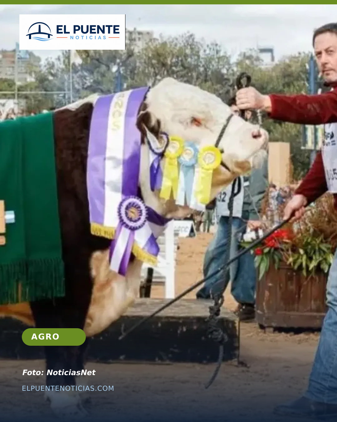 La Txapela de Patagones, subcampeón nacional Hereford en la Rural de Palermo