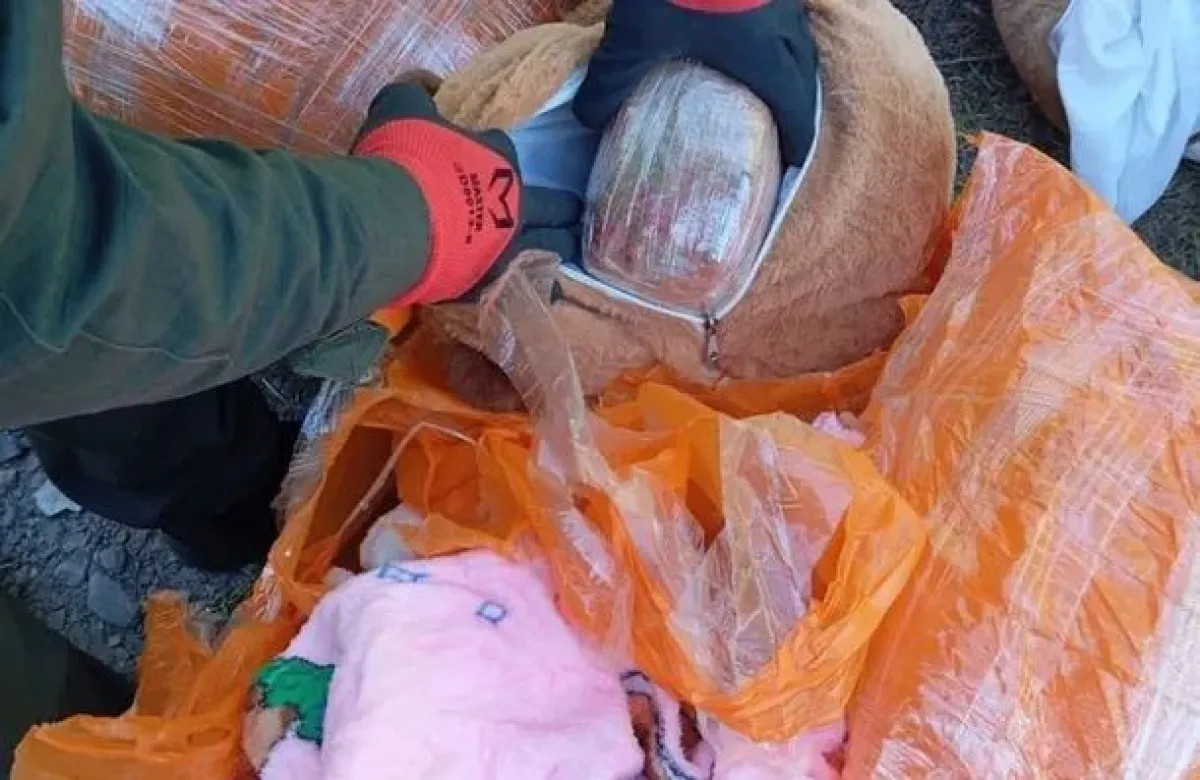 Detuvieron a una mujer que trasladaba droga oculta en peluches de carpinchos