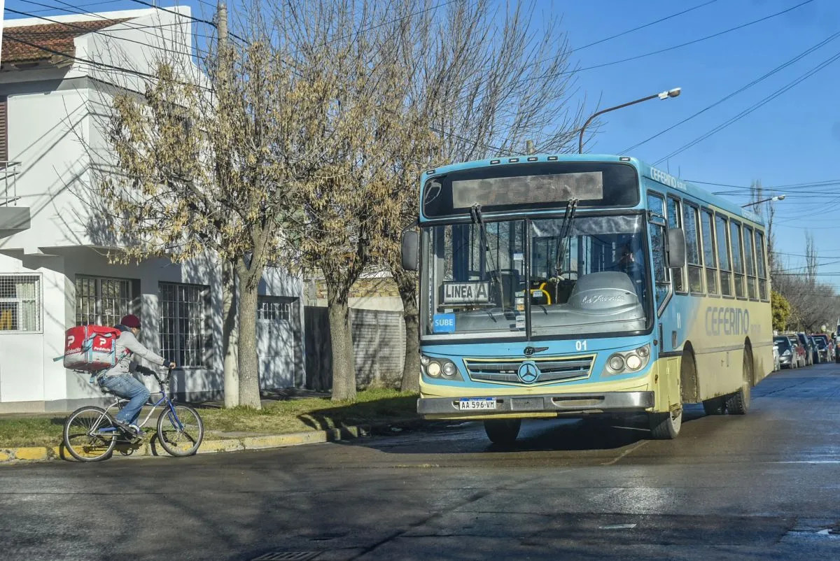 Boleto de colectivo en Viedma: el Municipio subsidiará a las empresas para no aumentar la tarifa