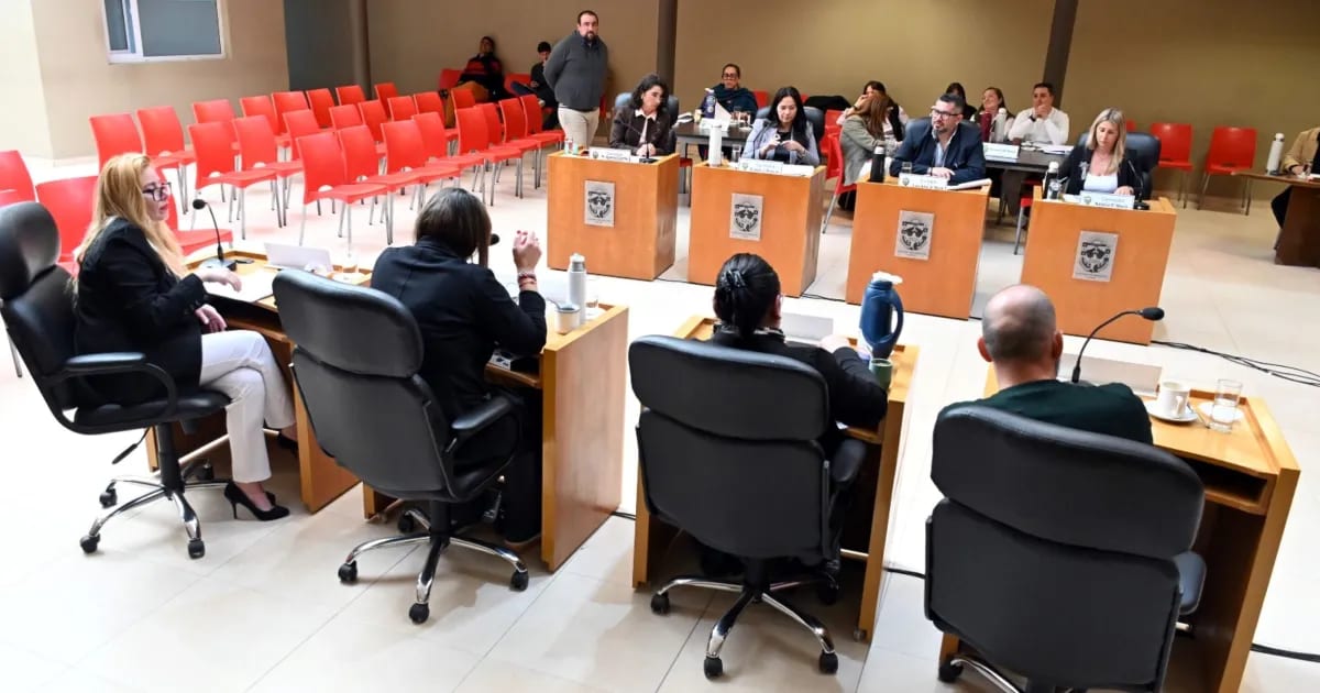 El Concejo de Viedma aprobó nuevas reglas para monopatines, alquileres turísticos y comercios
