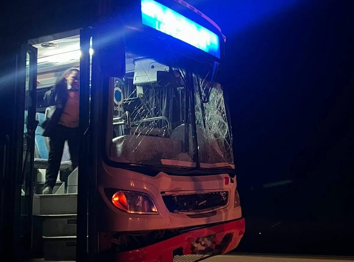 Un colectivo chocó a un caballo suelto en la ruta a Las Grutas y vecinos piden soluciones
