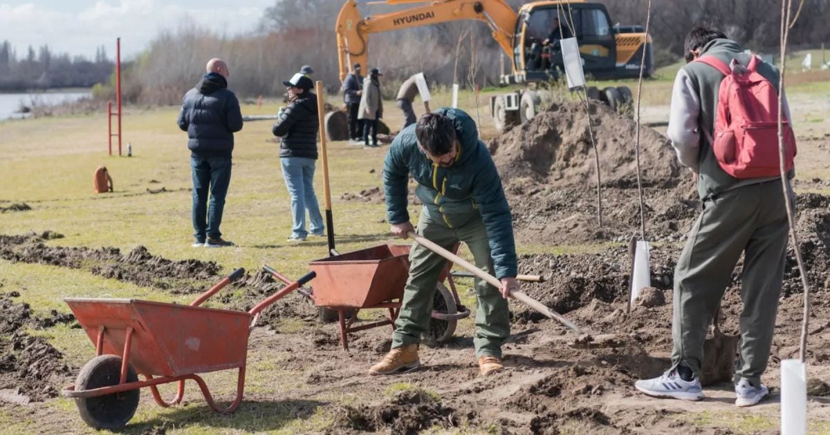 Río Negro plantó casi 2.000 sauces criollos en una campaña que incluyó a Viedma