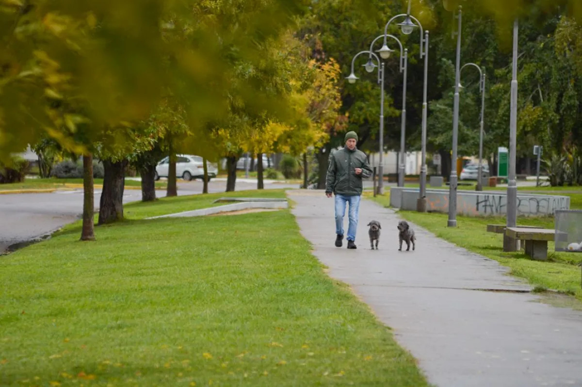 Fin de semana frío en Viedma: heladas y viento para sábado y domingo