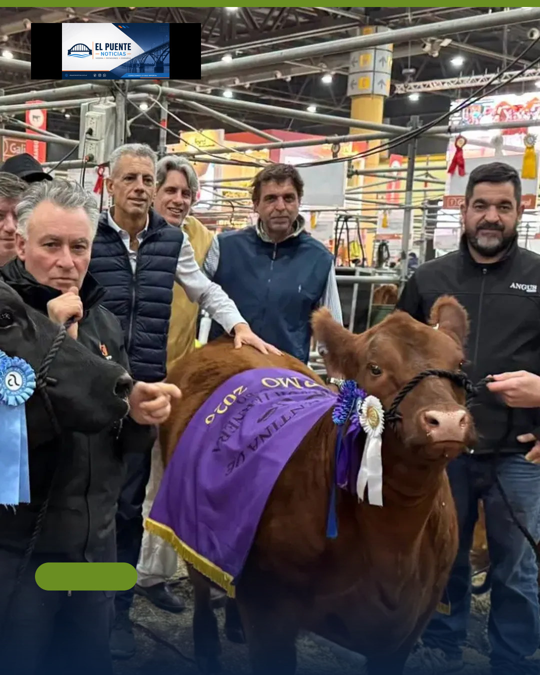 Cabañas de Conesa y Viedma se destacaron en la Rural de Palermo