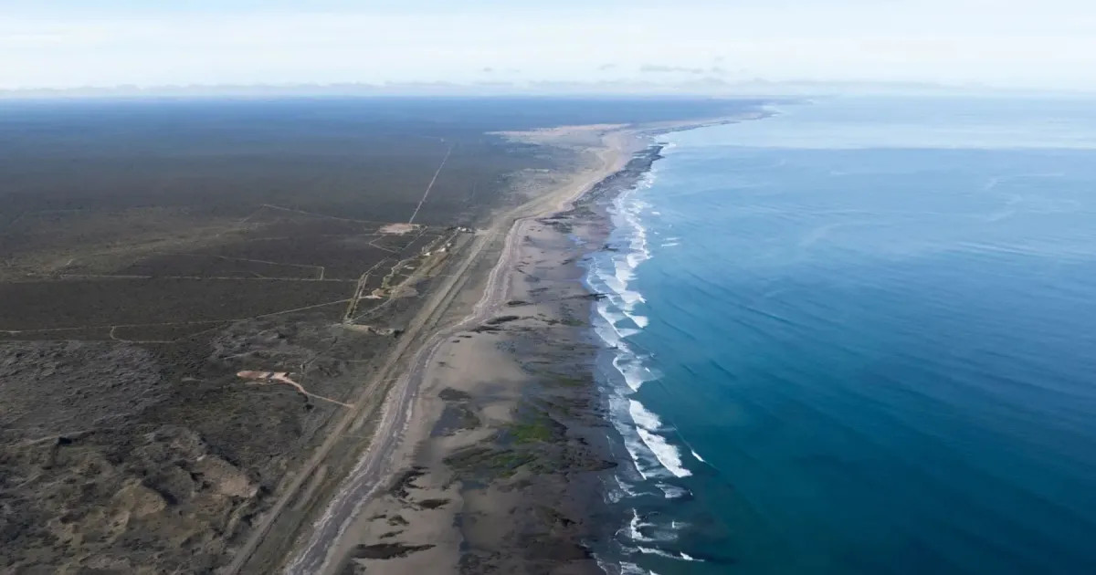 Identifican cinco especies de tiburones amenazadas en el Golfo San Matías