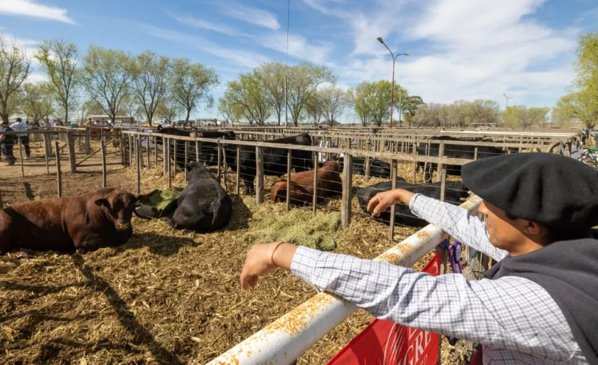 Arranca el Circuito de Exposiciones Rurales 2026 en Río Negro, con parada en Viedma