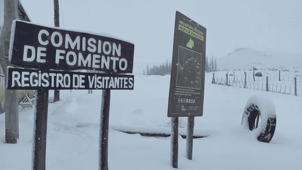 Un punto SOS de ALTEC permitió rescatar a un poblador accidentado en una ruta rionegrina