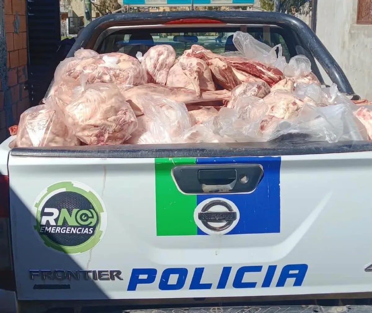 Decomisaron 3.450 kilos de carne clandestina en un operativo en Viedma