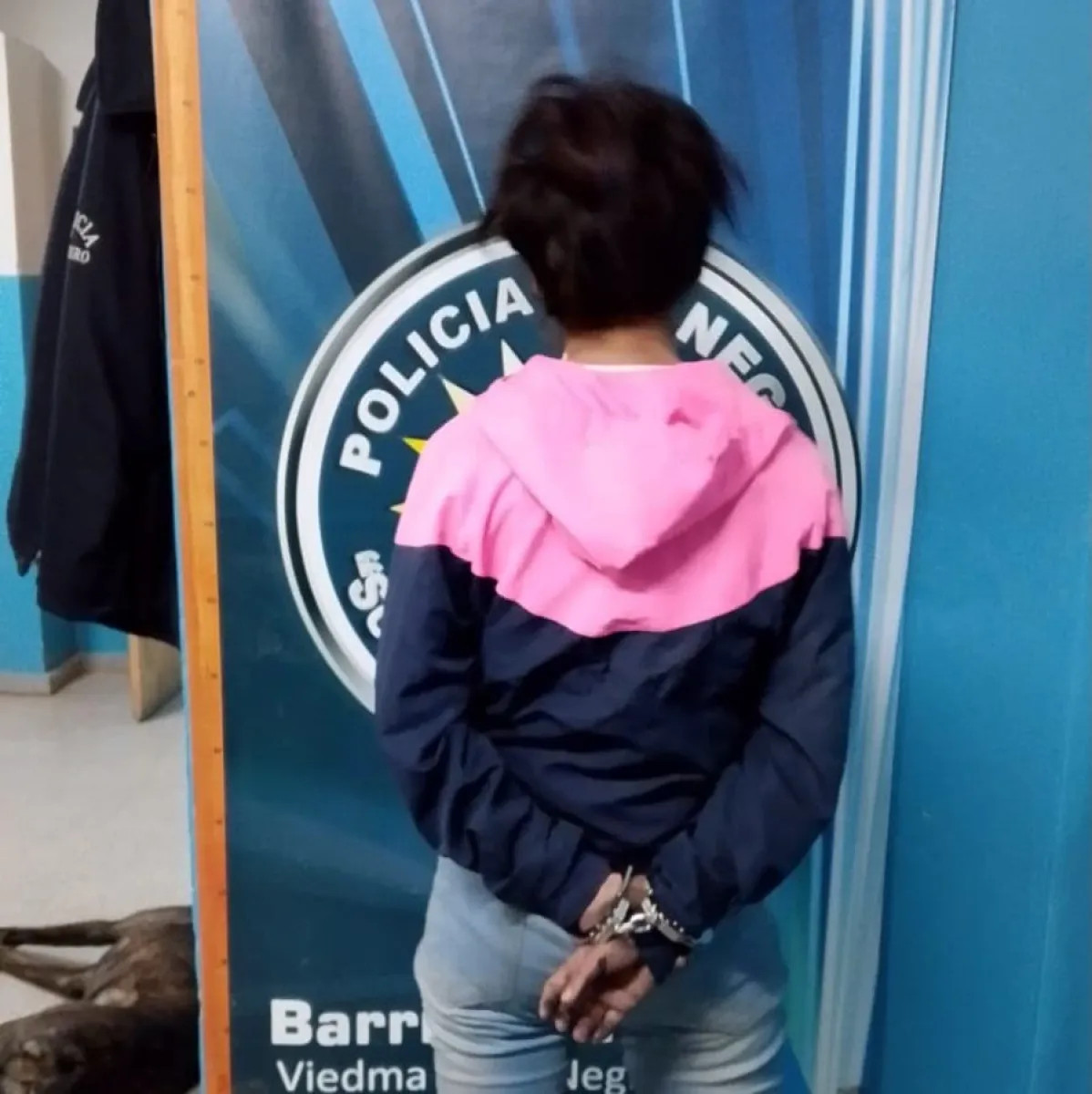 Detuvieron en Viedma a una joven que intentó agredir a su madre