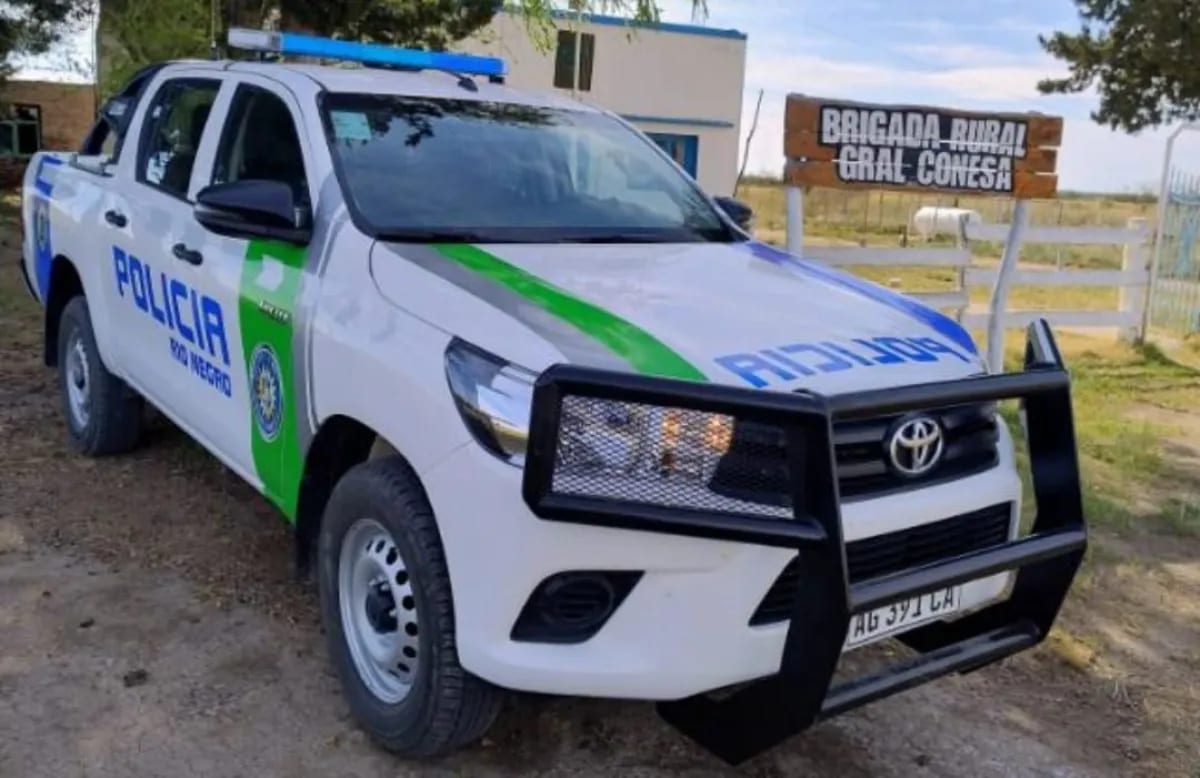 Interceptaron en la Ruta 250 una camioneta con 45 kilos de carne sin refrigeración ni papeles