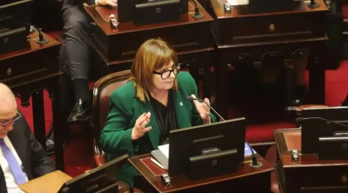 Bullrich anunció que el Senado retomará el debate integral de la reforma política