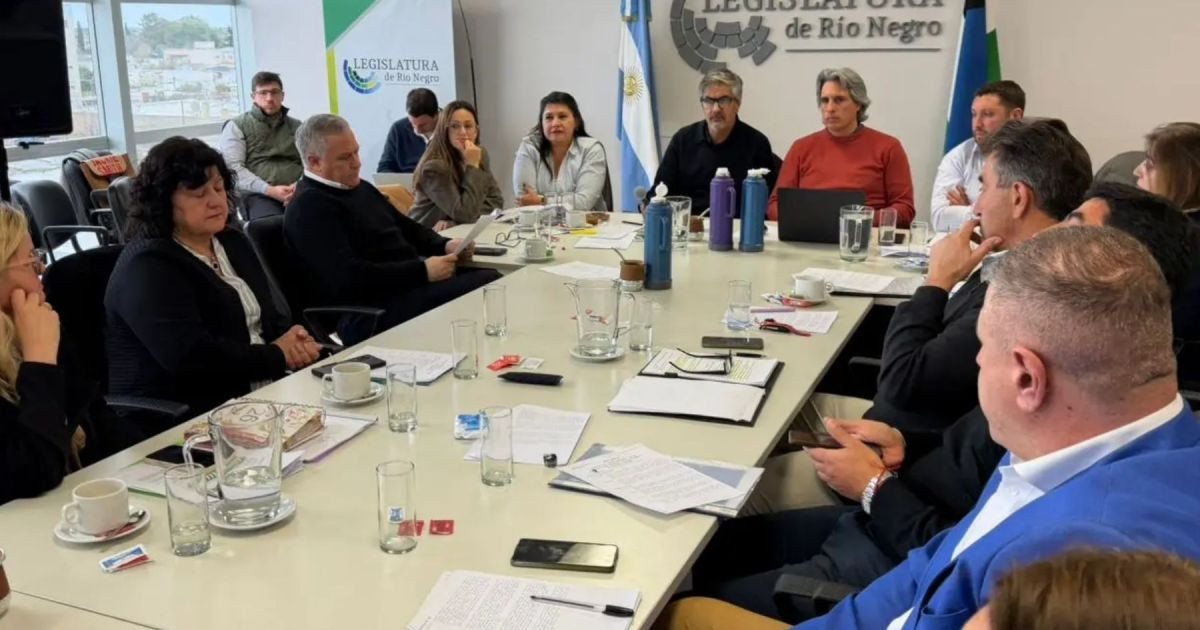 Río Negro avanza con la nueva Ley de Carnes: jabalí, guanaco y producción artesanal