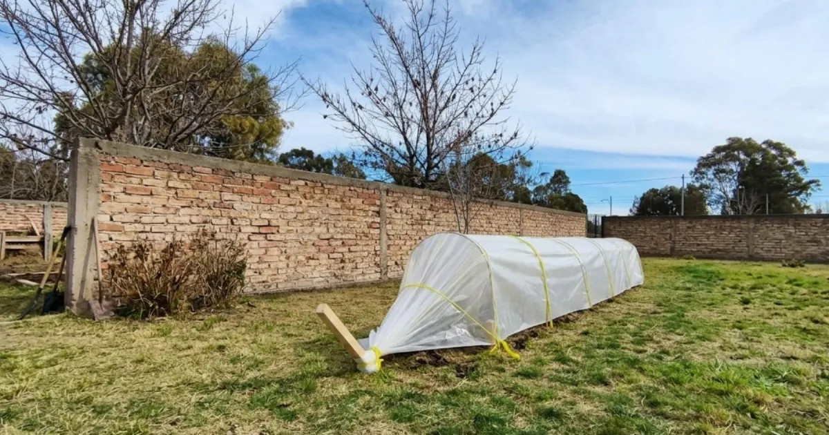 La Casita de Viedma suma un microinvernadero para jóvenes con discapacidad