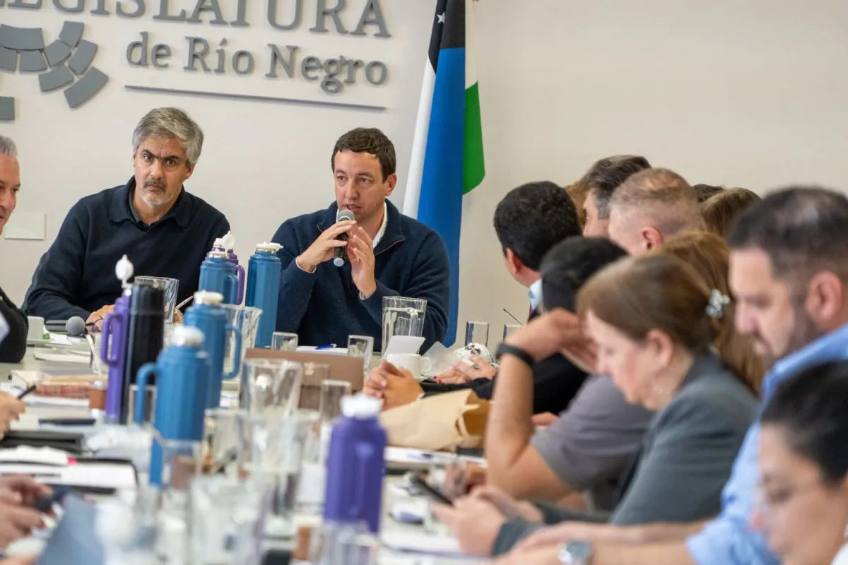 La Legislatura rionegrina debate reemplazar al EPRE por un ente que unifique el control de servicios