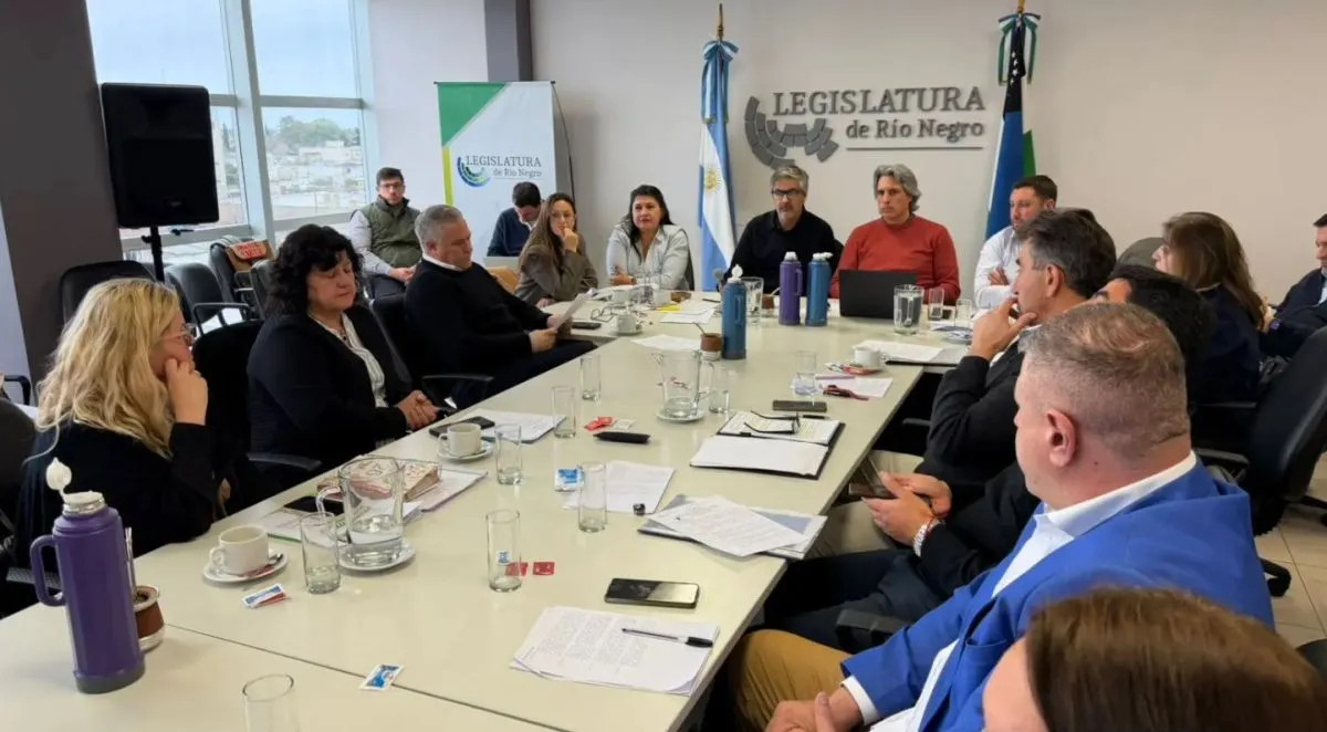Río Negro presentó en la Legislatura el proyecto de nueva Ley de Carnes