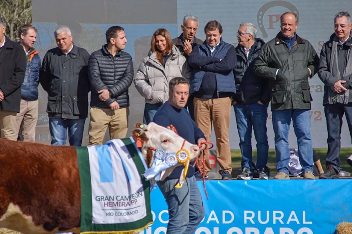 Río Colorado abrió el circuito rural con lo mejor de la genética ganadera rionegrina