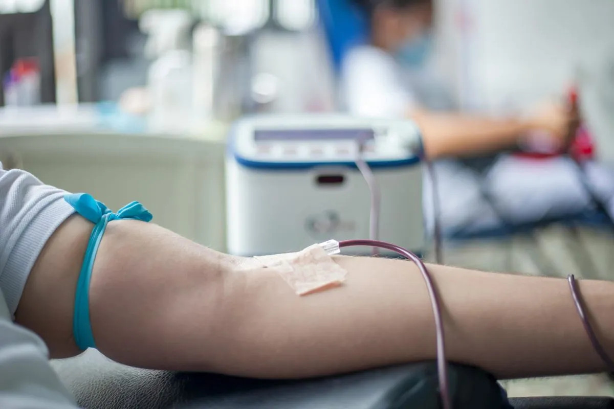Río Negro avanza con un registro para quienes rechazan transfusiones de sangre