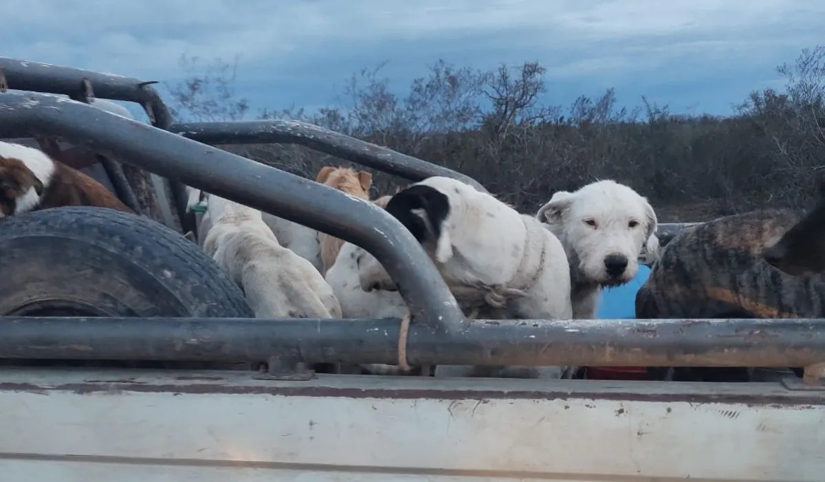 Operativo de la Brigada Rural detectó 11 infracciones a cazadores en General Conesa