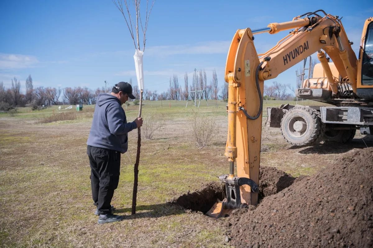 Río Negro cerró su campaña de plantación con casi 2.000 sauces criollos en los valles