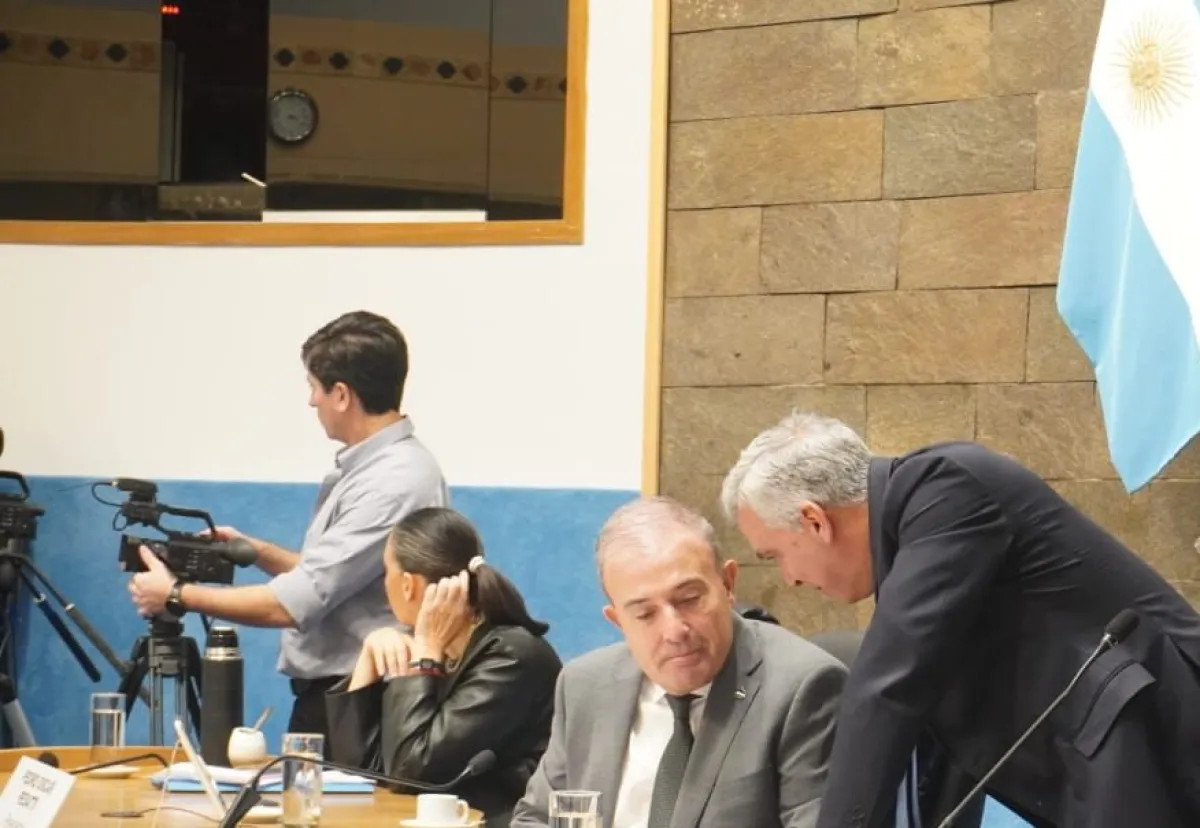 La Legislatura de Río Negro aprobó un protocolo para agilizar la búsqueda de menores desaparecidos