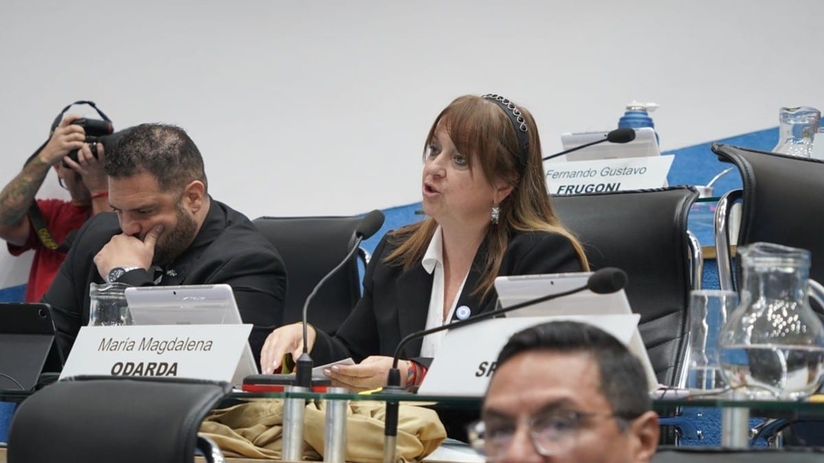 Odarda cuestionó en la Legislatura el proyecto que suma al guanaco al mercado de carnes