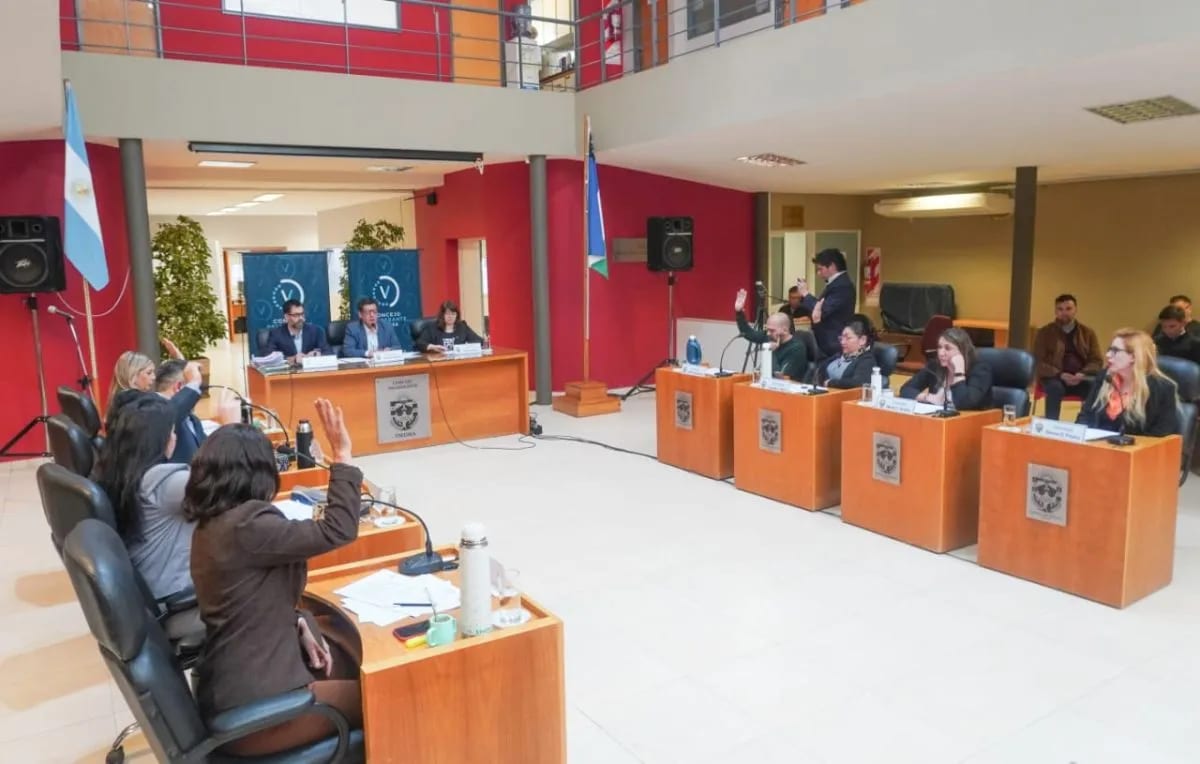 El Concejo de Viedma aprobó regular alquileres temporarios, monopatines y declaró emergencia por autos secuestrados