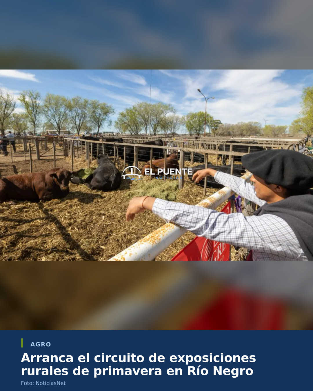 Arranca el circuito de exposiciones rurales de primavera en Río Negro